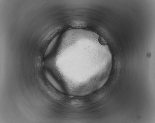 X0000112490549200909071223