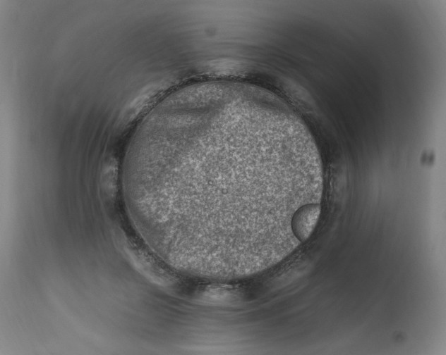 X0000112490550200909071223