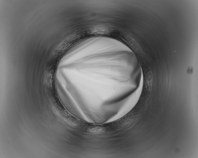 X0000112490551200909071223