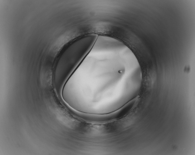 X0000112490552200909071223