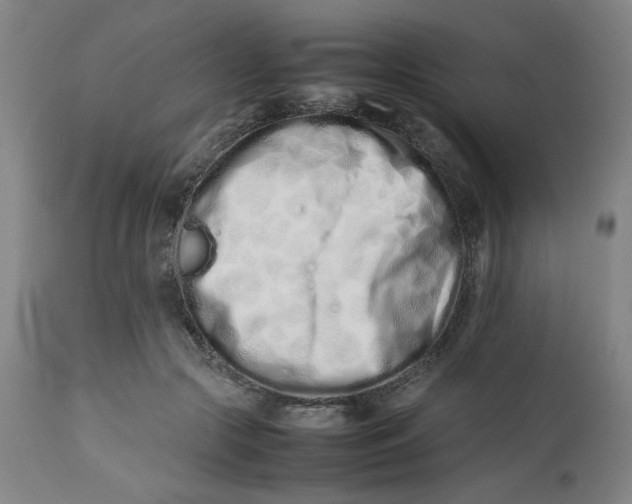 X0000112490553200909071223