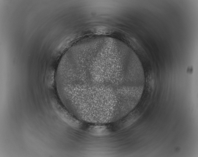 X0000112490554200909071223