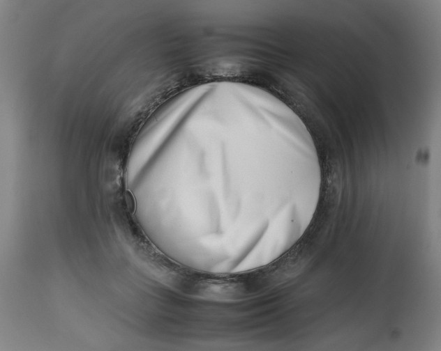 X0000112490555200909071223