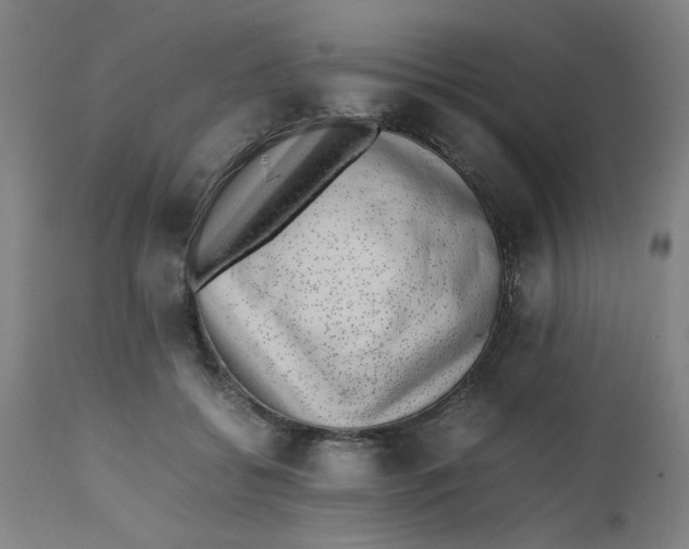 X0000112490556200909071223