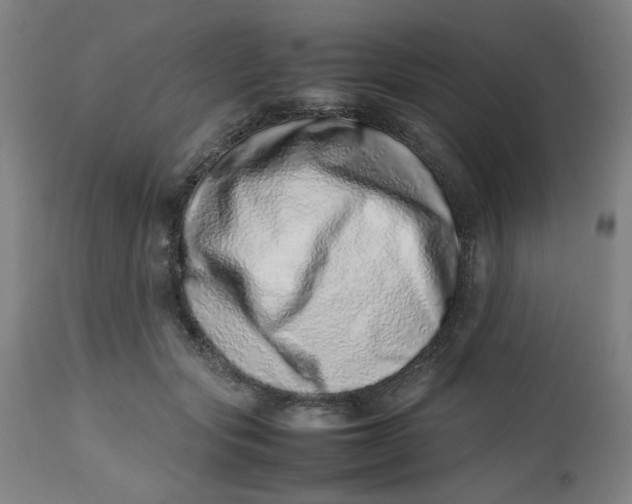 X0000112490557200909071223