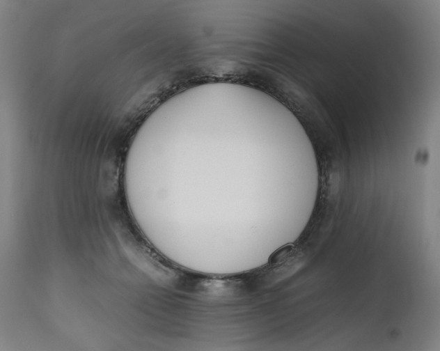 X0000112490558200909071223