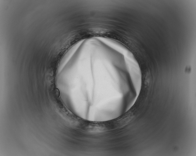 X0000112490559200909071223