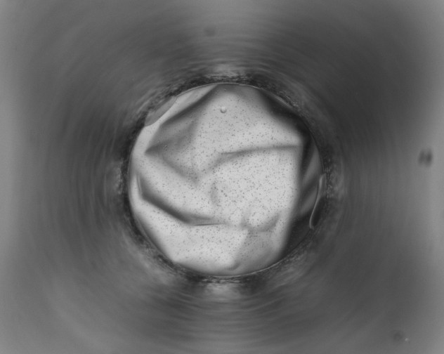 X0000112490560200909071223