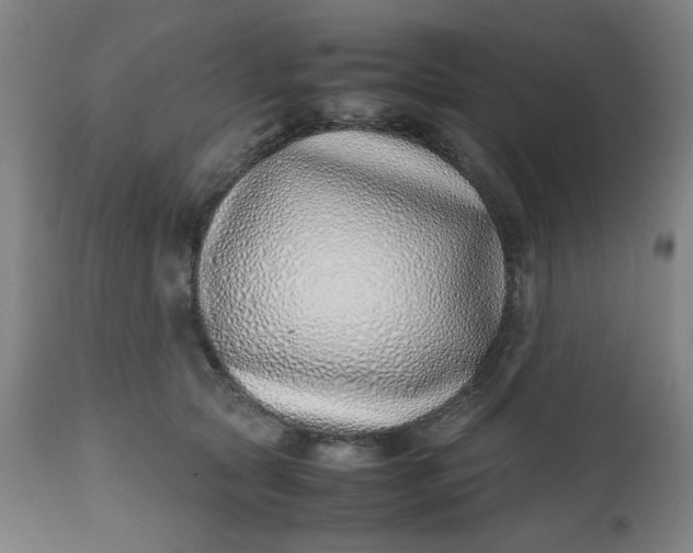 X0000112490561200909071224