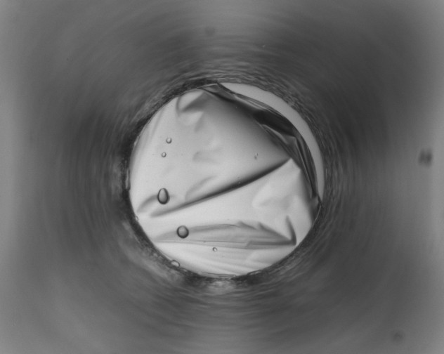 X0000112490562200909071224