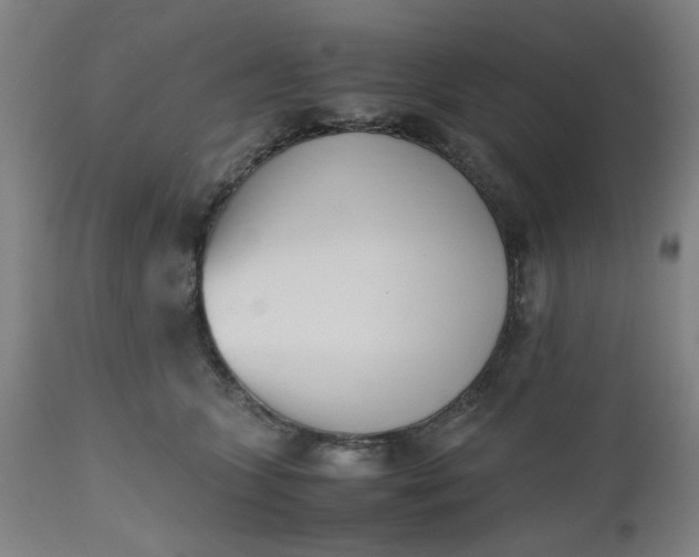 X0000112490563200909071224