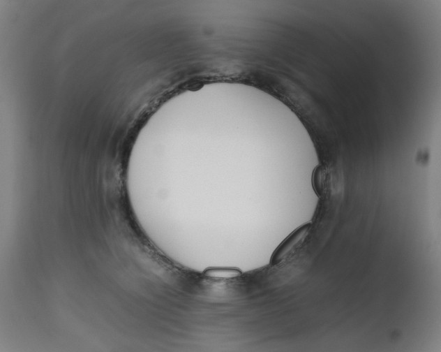 X0000112490564200909071224