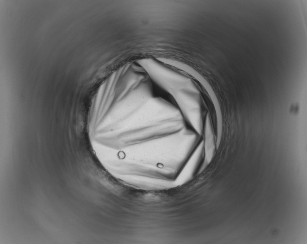 X0000112490566200909071224