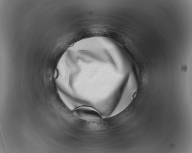 X0000112490567200909071224