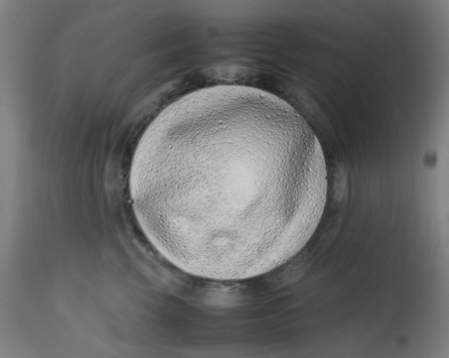X0000112490569200909071224