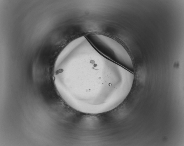 X0000112490572200909071224