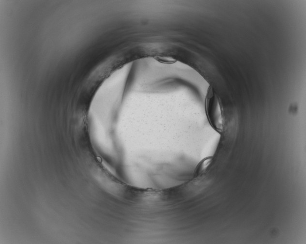 X0000112490574200909071224