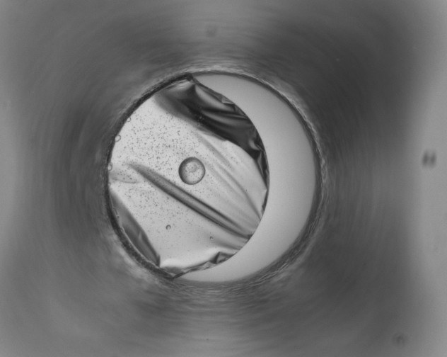 X0000112490577200909071223