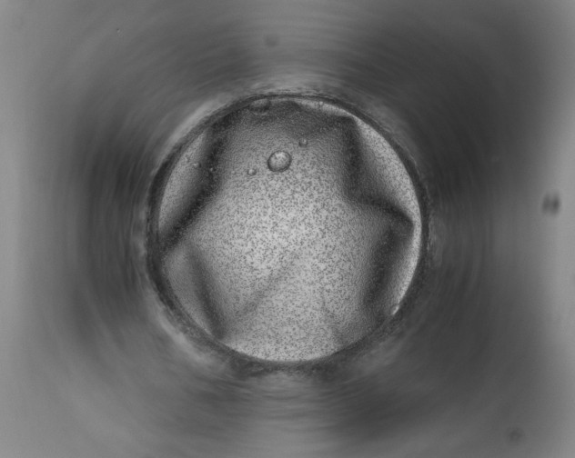 X0000112490578200909071223