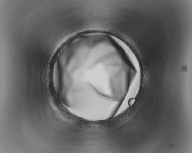 X0000112490580200909071223