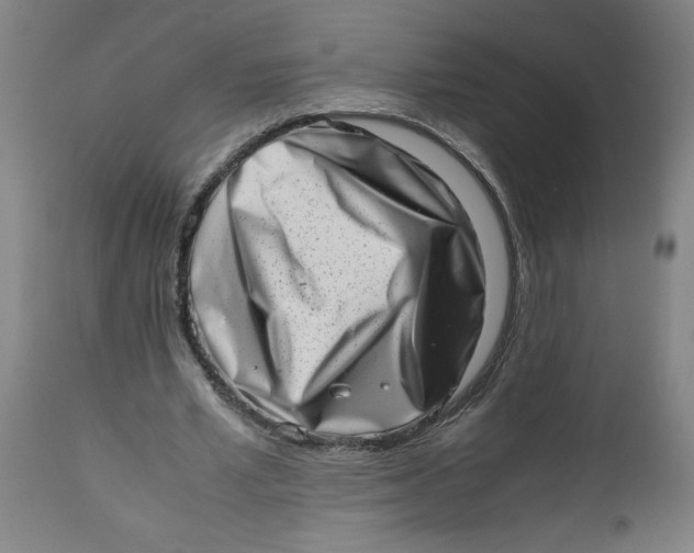 X0000112490581200909071223