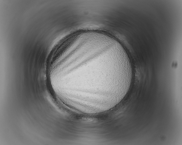 X0000112490582200909071223