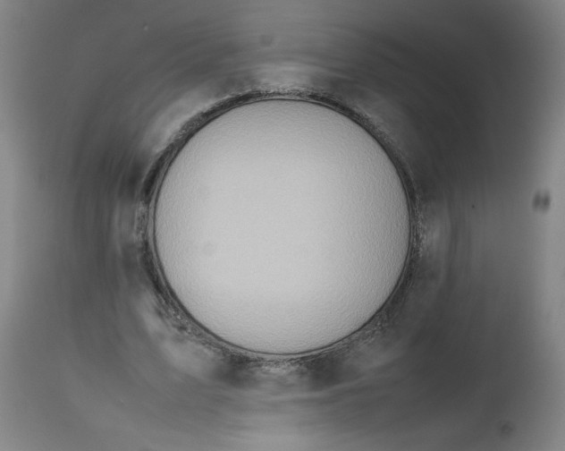 X0000112490583200909071223