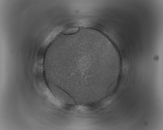 X0000112490585200909071223