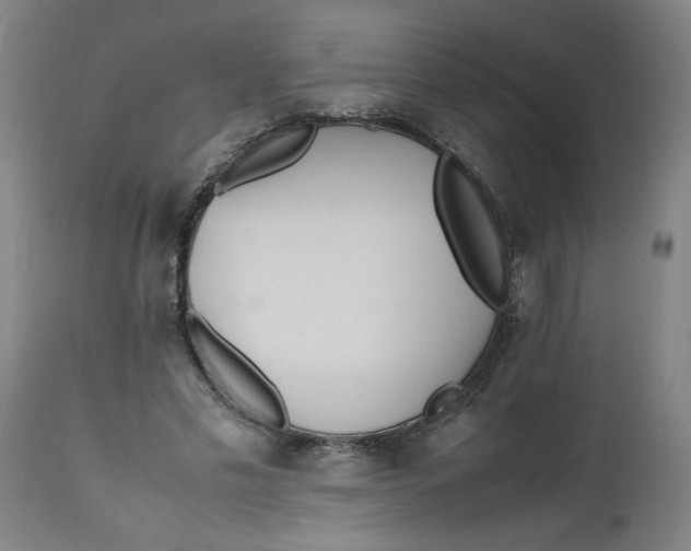 X0000112490589200909071223