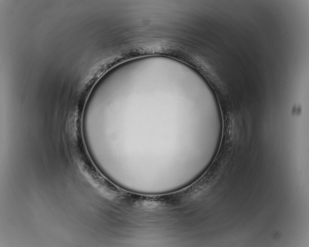 X0000112490590200909071223
