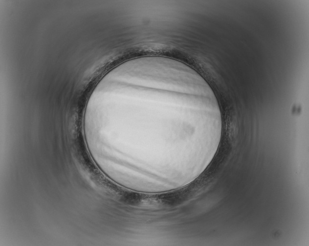 X0000112490591200909071223
