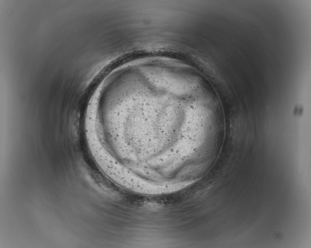 X0000112490592200909071223