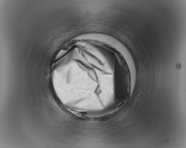 X0000112490593200909071223