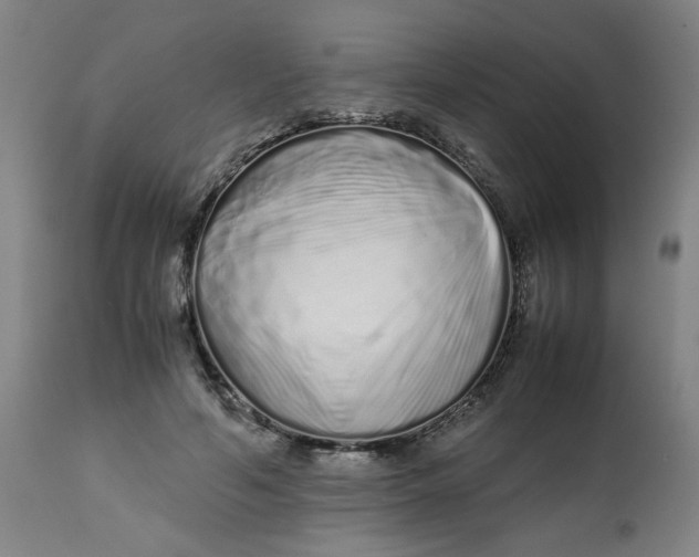 X0000112490594200909071223