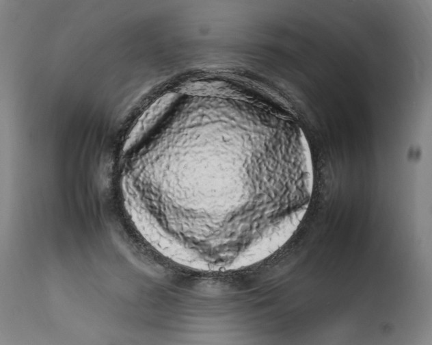 X0000112490596200909071223