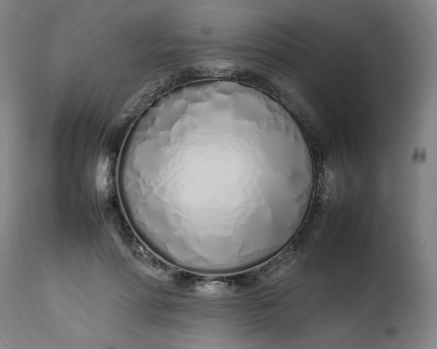 X0000112490598200909071223