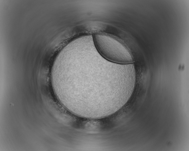 X0000112490599200909071223