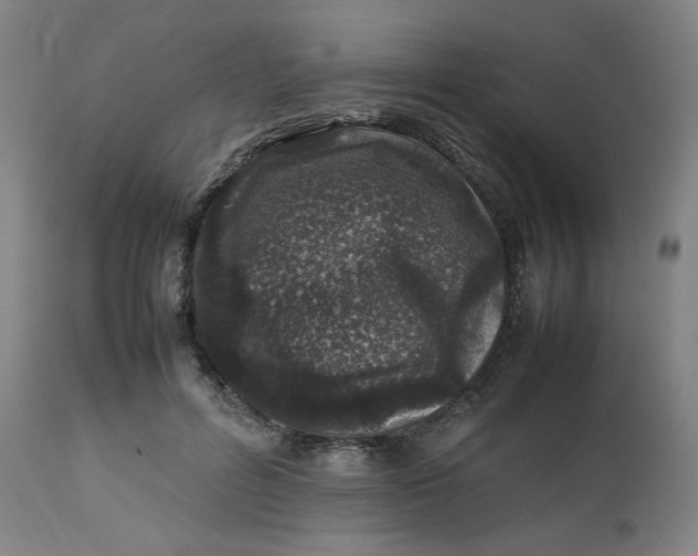 X0000112490600200909071223