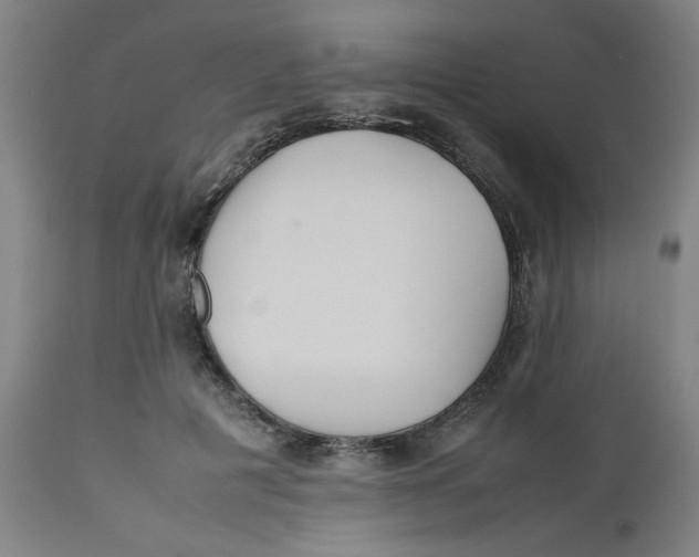 X0000112490601200909071223