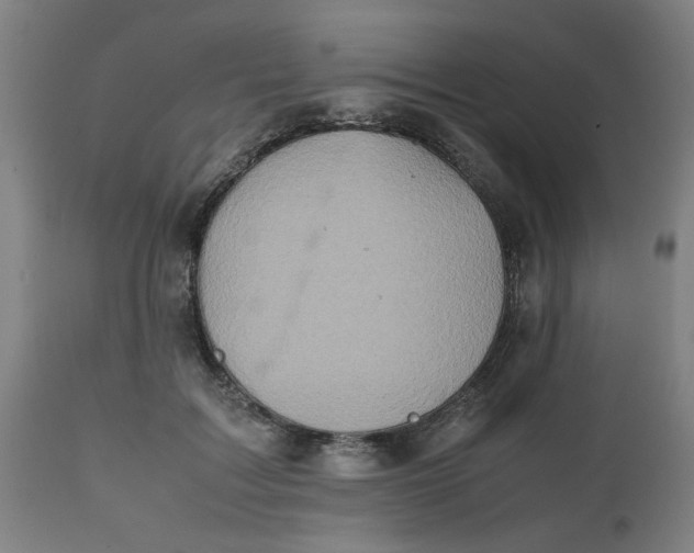 X0000112490603200909071223