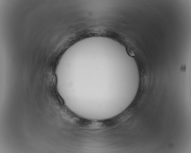 X0000112490609200909071222
