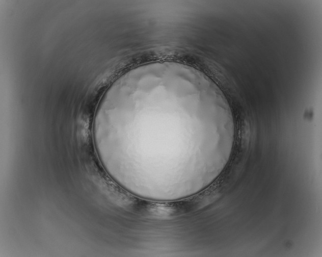 X0000112490610200909071222