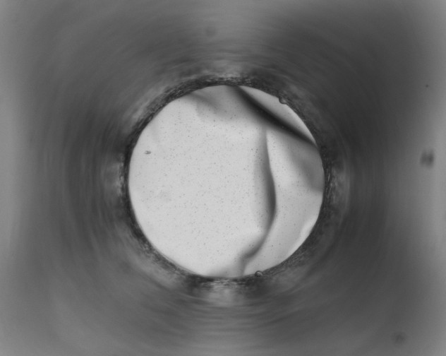 X0000112490612200909071222