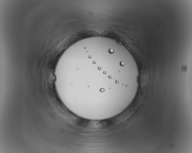 X0000112490613200909071222