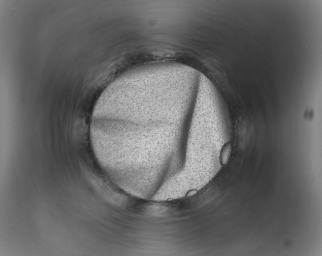 X0000112490614200909071222