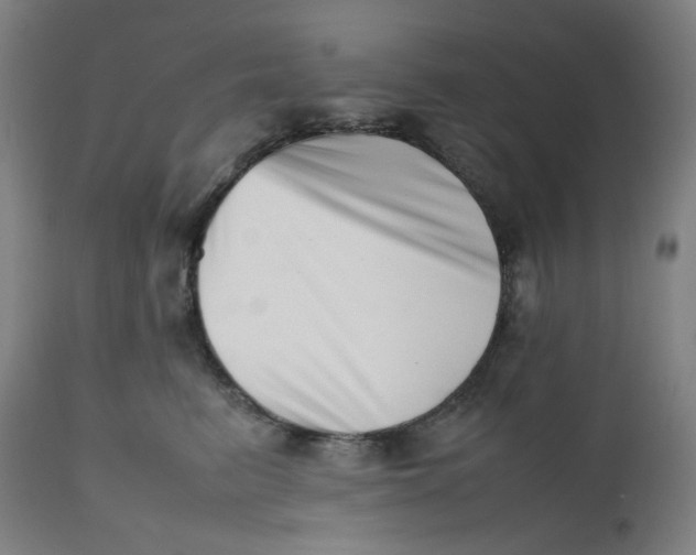 X0000112490615200909071222