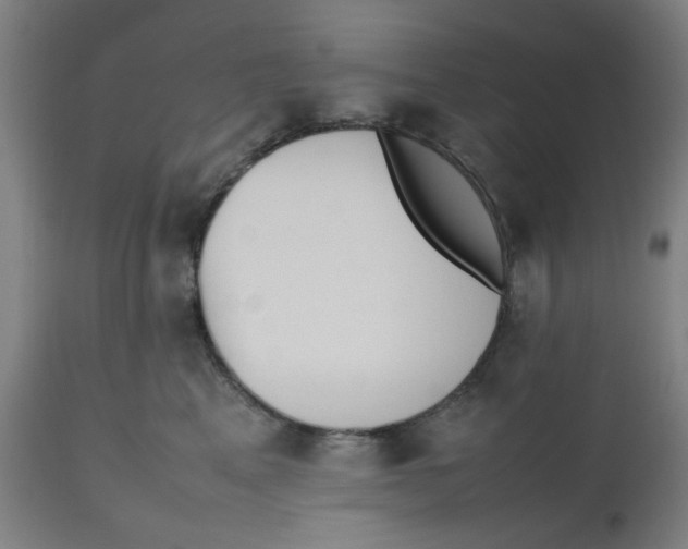 X0000112490617200909071222