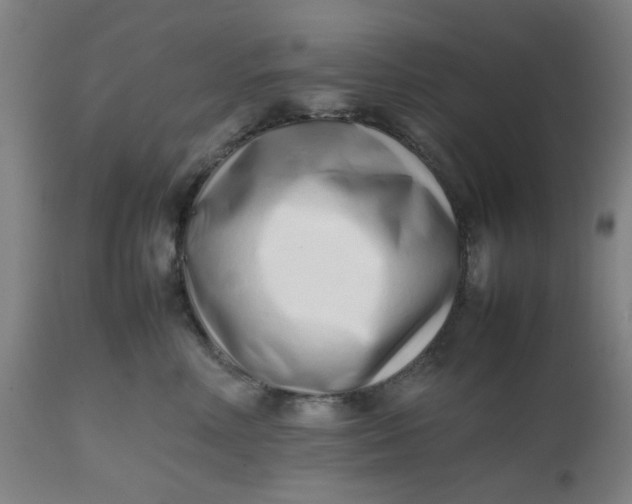 X0000112490618200909071222