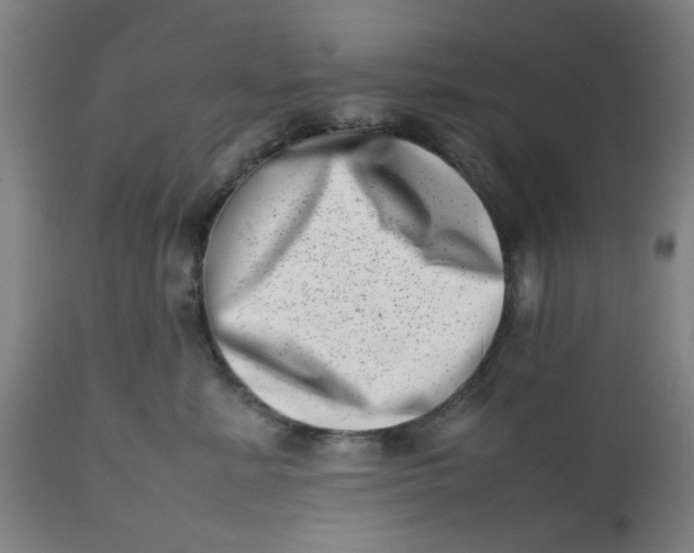X0000112490619200909071222