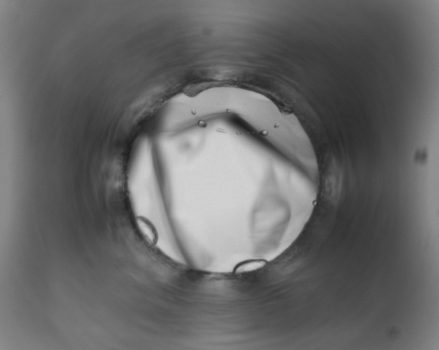 X0000112490620200909071222